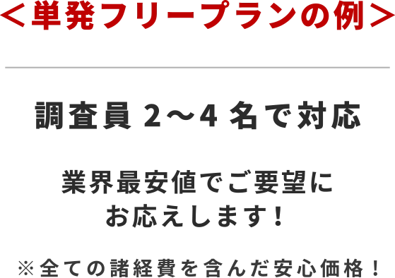 ＜単発フリープランの例＞業界最安値でご要望にお応えします！