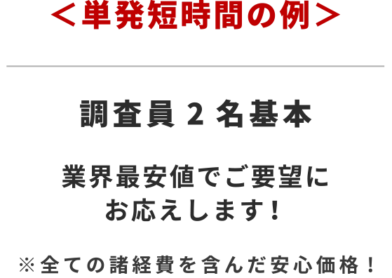 ＜単発短時間の例＞業界最安値でご要望にお応えします！