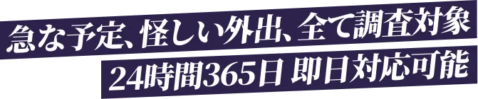 急な予定、怪しい外出、全て調査対象 24時間365日 即日対応可能